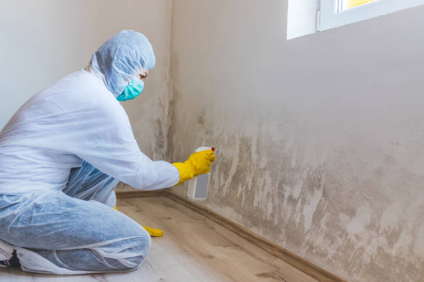 Mold inspector in Strasburg performing thermal imaging