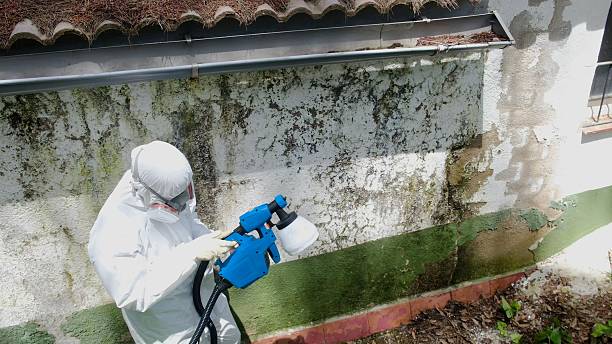 Mold Removal service in Strasburg